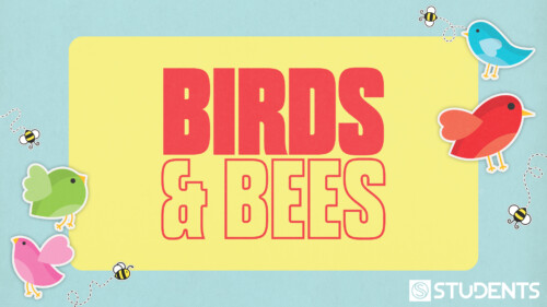 Birds And Bees (june United Night) Hd Title Slide